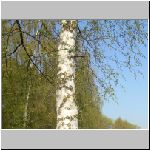 Jindris 24.4..2008 22-41-52.JPG